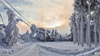 雪地树林小路电线杆海报背景