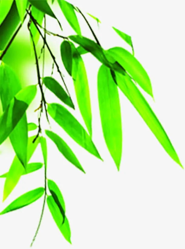 绿色模糊树叶风景免抠