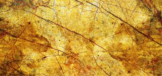 枫叶纹理背景高清