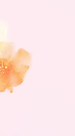 浅色花朵 免扣png免抠