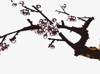 手绘梅花免抠