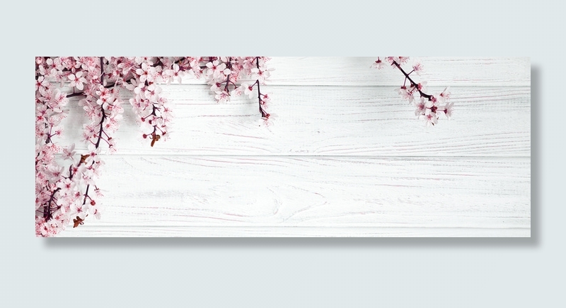 美丽的春天花朵植物高清