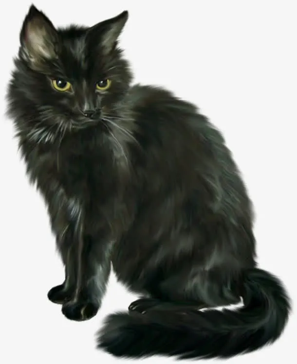 万圣节恐怖黑猫免抠