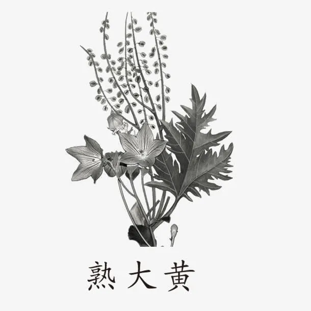 黑白草药免抠