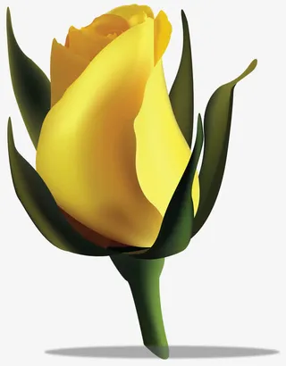 精美春天黄色玫瑰免抠动植物植物元素
