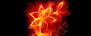 黑色火树银花背景高清