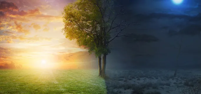 冬季扁平渐变杂金黄色医疗海报背景高清