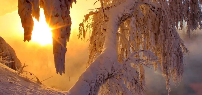 阳光雪地背景高清
