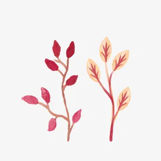 水彩绘红色树枝矢量图免抠