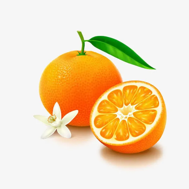 卡通香橙和橙子花免抠