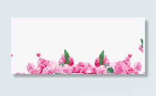 粉色康乃馨9免抠