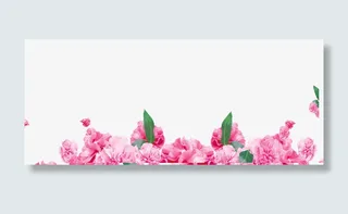 粉色康乃馨9免抠