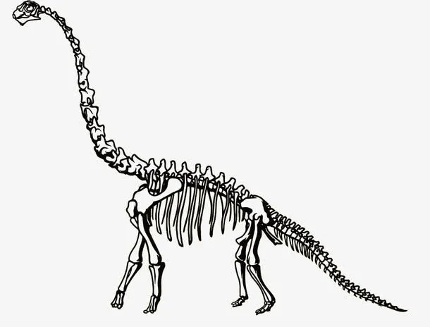 梁龙恐龙化石免抠
