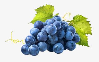 葡萄素材免抠
