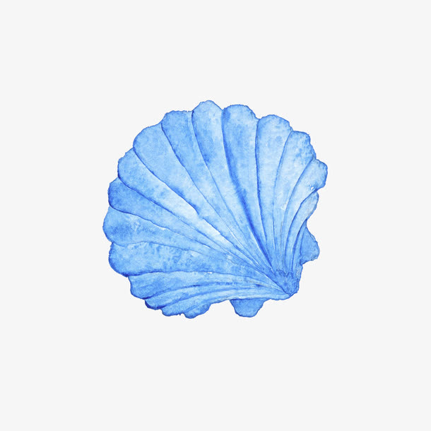 手绘花形扇贝免抠