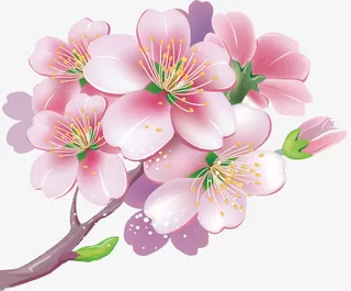 手绘粉色桃花免抠