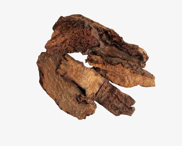 中药锁阳实物免扣免抠