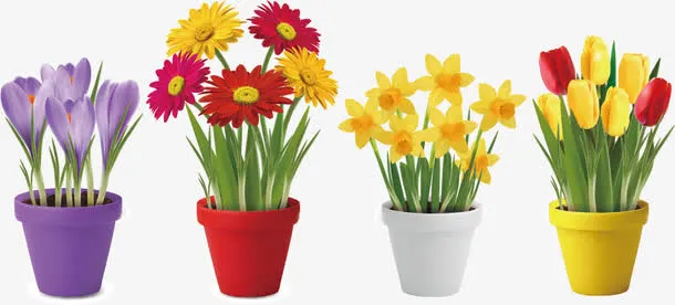 花卉矢量图免抠