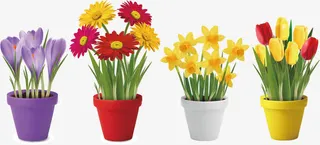 花卉矢量图免抠