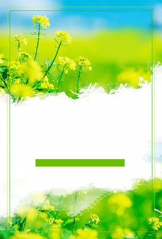 油菜花节日海报背景图高清
