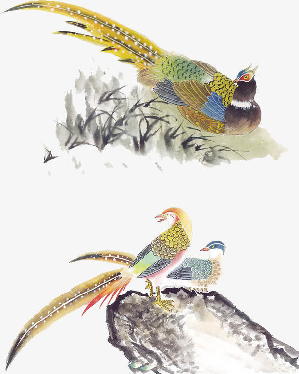 中国风花鸟素材免抠