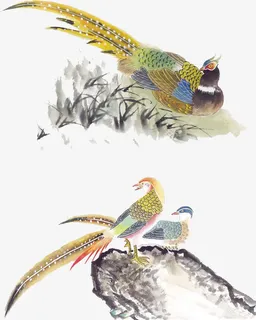 中国风花鸟素材免抠