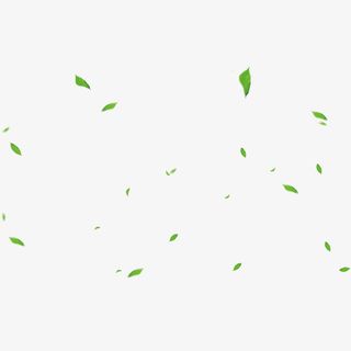 教师节绿色漂浮叶子装饰免费下载免抠
