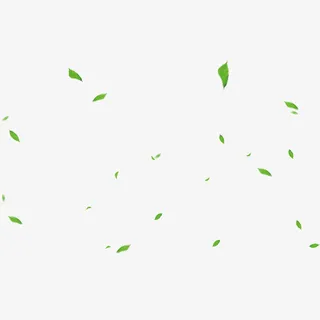 教师节绿色漂浮叶子装饰免费下载免抠