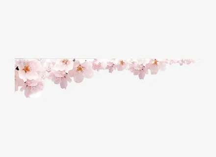 粉色桃花素材免抠