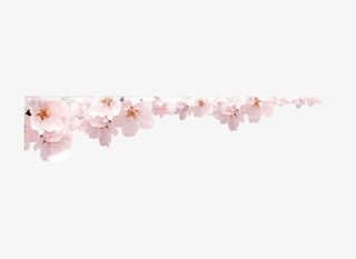 粉色桃花素材免抠