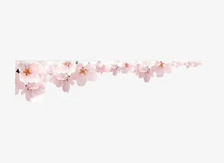 粉色桃花素材免抠