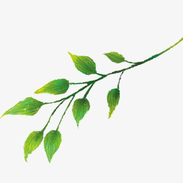 树枝免抠