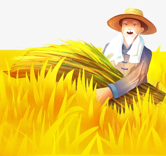 手绘装饰插图五一劳动节收割麦子免抠