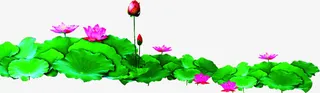 绿色荷花池中秋素材免抠