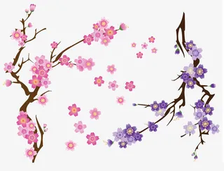 不凋零的美丽免抠