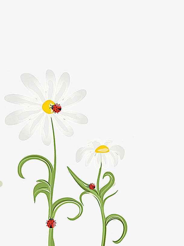 小清新花卉免抠