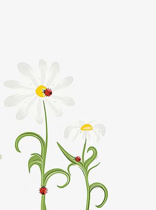 小清新花卉免抠