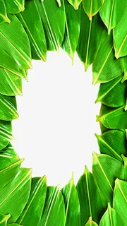 树叶端午节个性H5背景高清