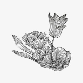 创意手绘花卉装饰矢量图免抠