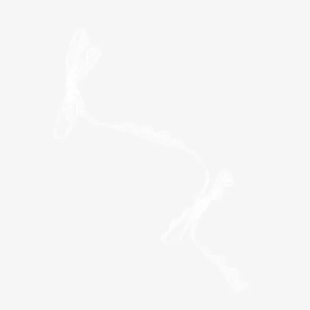 白色丝带免抠