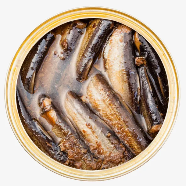 金色圆形的沙丁鱼罐头俯视图免抠
