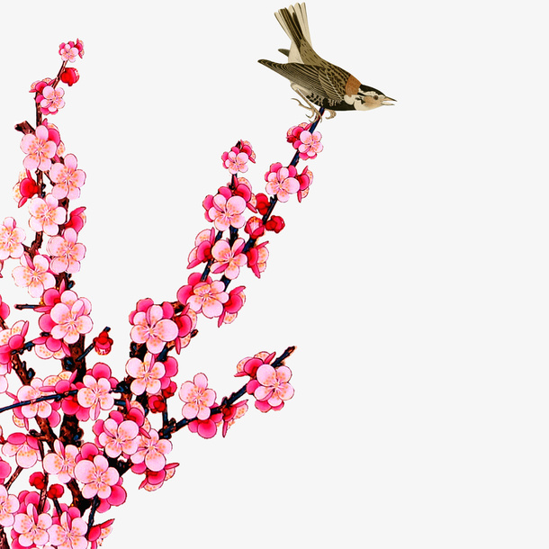 桃花免抠