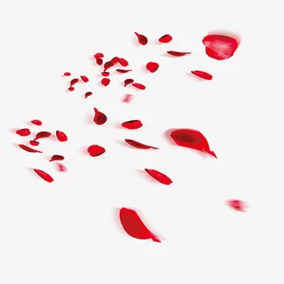 漂浮红色花瓣免抠
