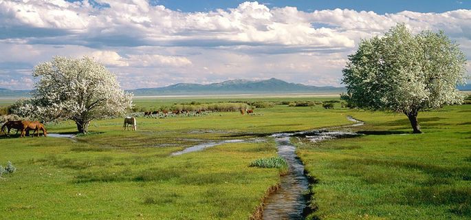 青山绿水草原淘宝海报背景banner高清