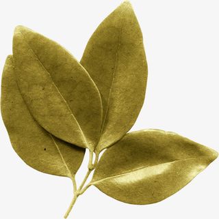 质感装饰图案psd免抠