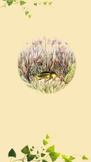 二十四节气之惊蛰海报模板.高清