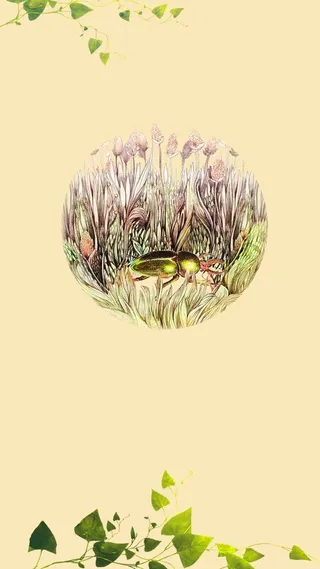 二十四节气之惊蛰海报模板.高清