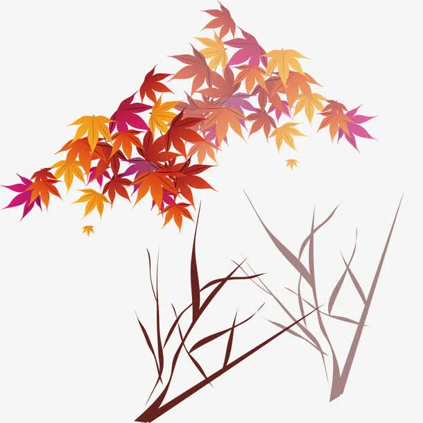 红色枫叶免抠