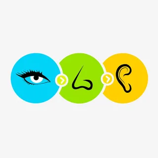 外貌五官图免抠