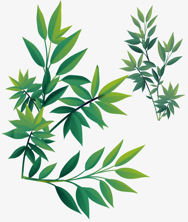 春天树叶绿植绿叶免抠手绘/卡通手绘元素